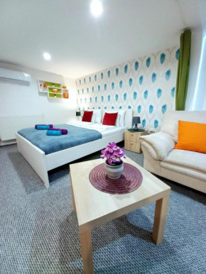 Downtown Acacia str Apartment